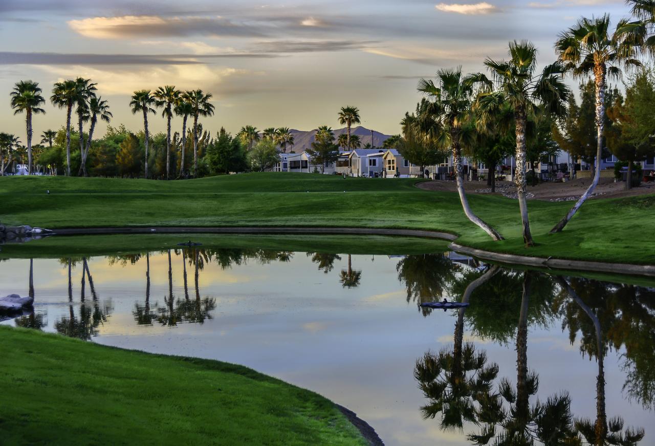 Palm Creek Golf & Rv Resort - 55+ Adults Only Casa Grande Exteriör bild